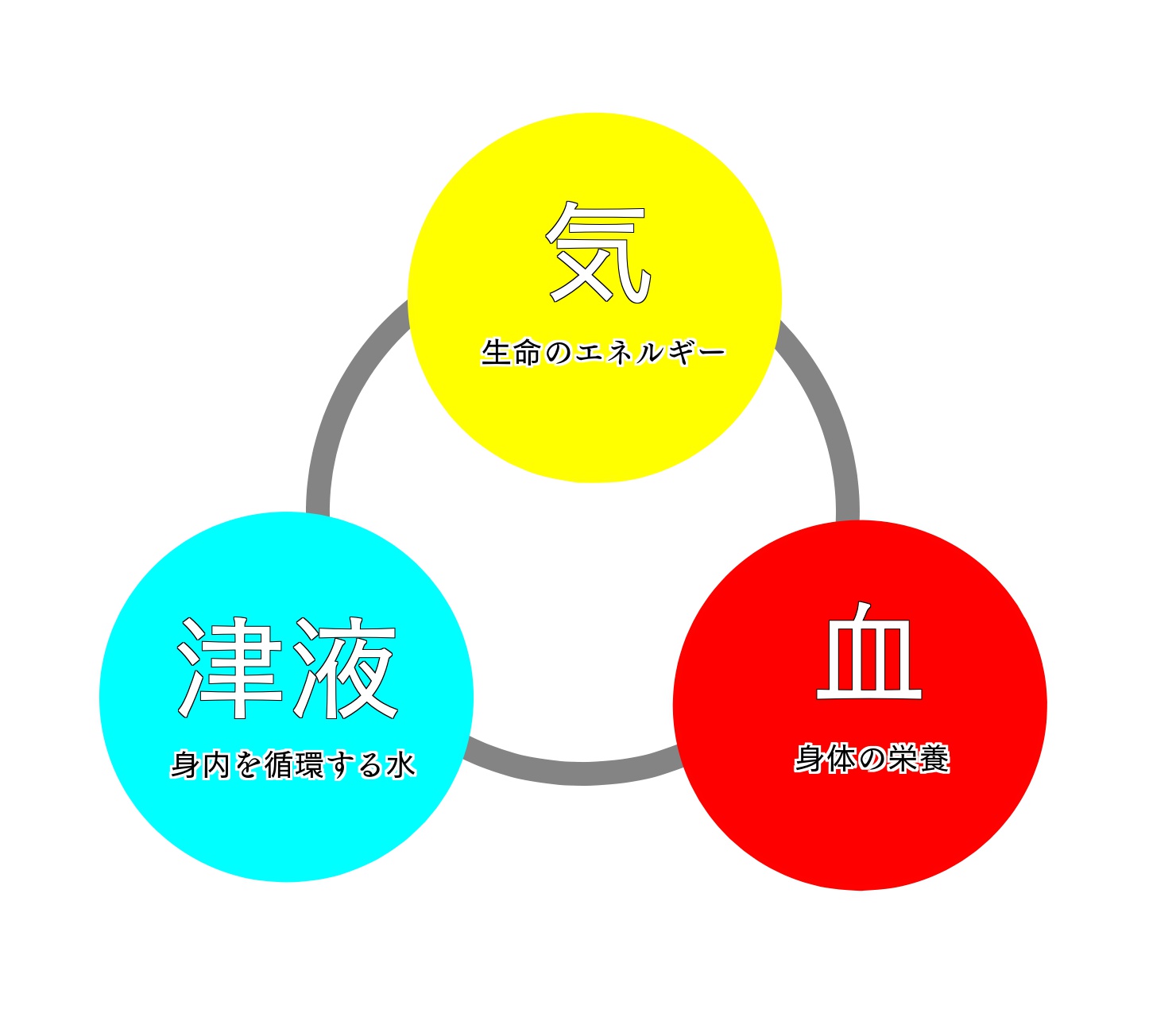 気血津液