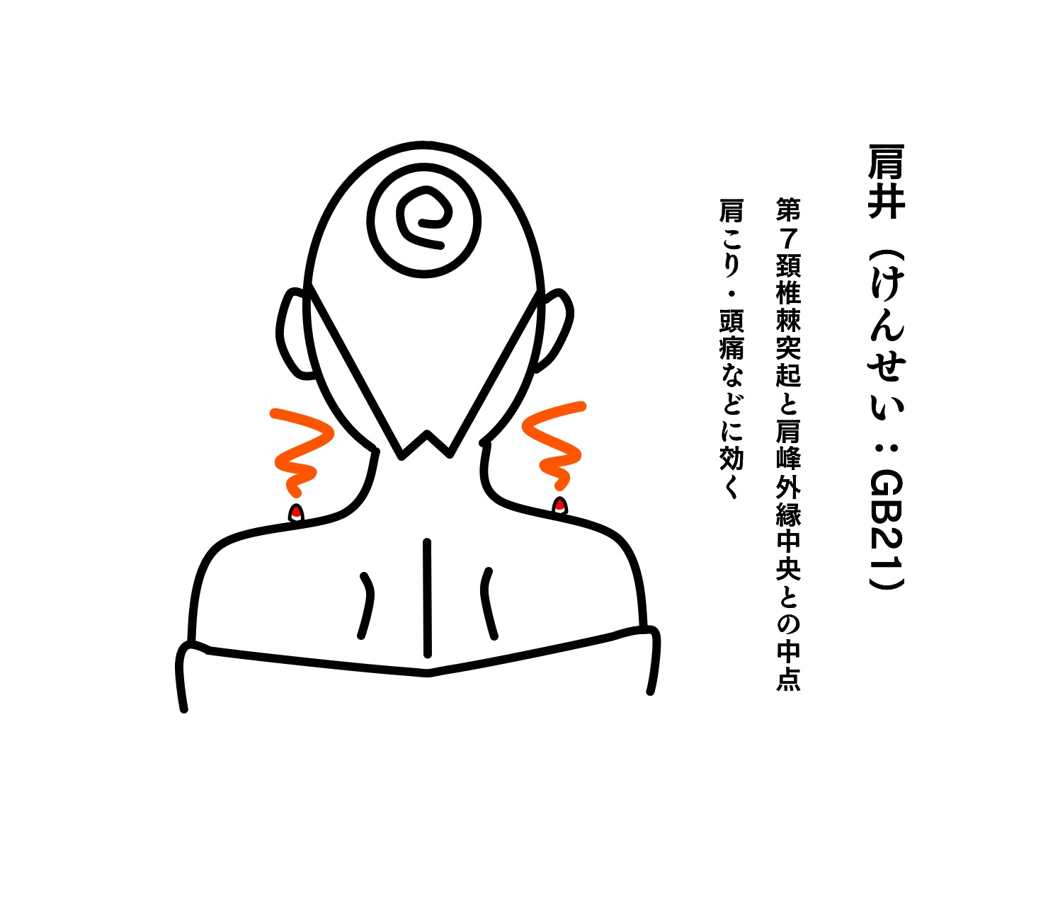 肩井