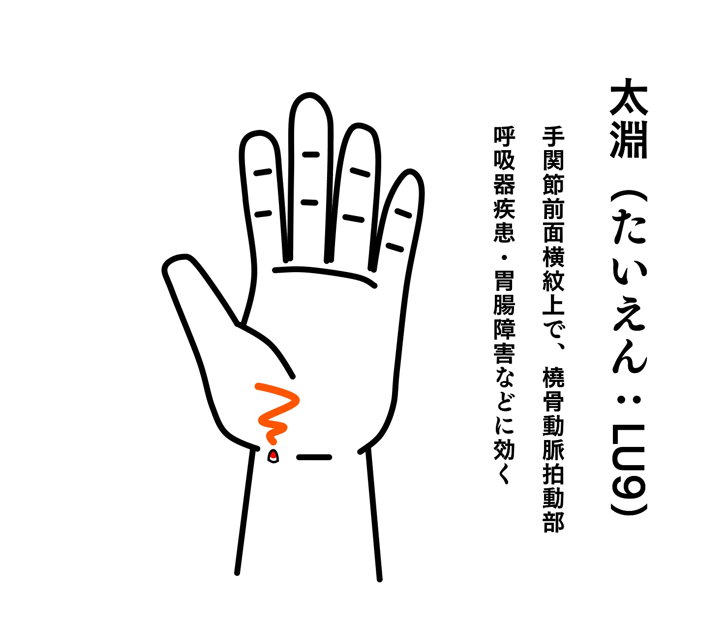 太淵