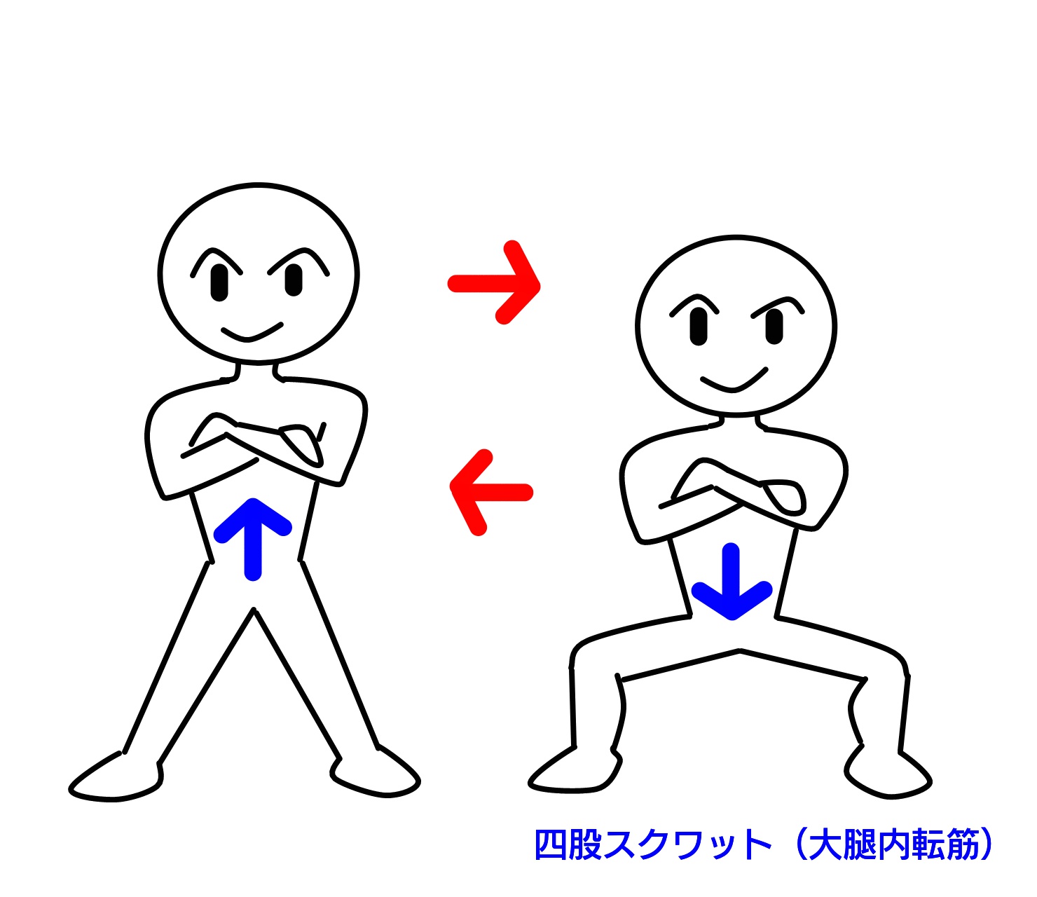 四股スクワット(大腿内転筋)