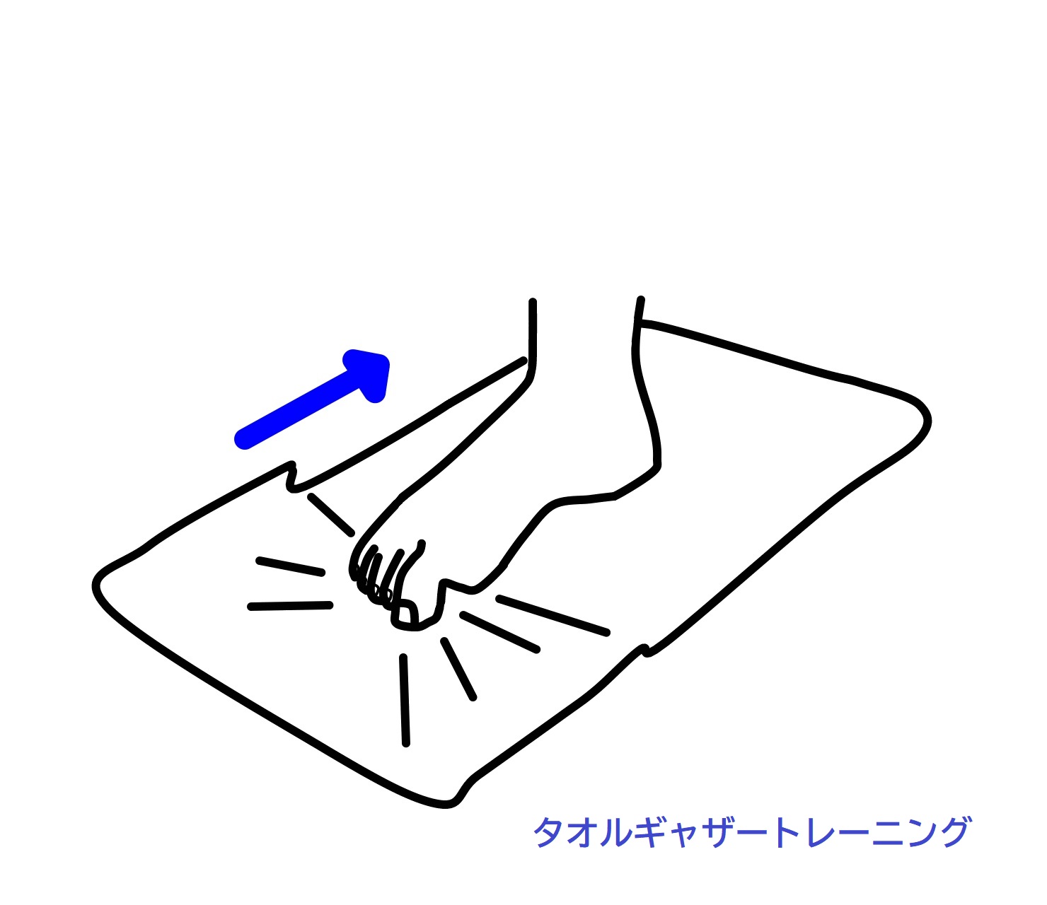 タオルギャザートレーニング
