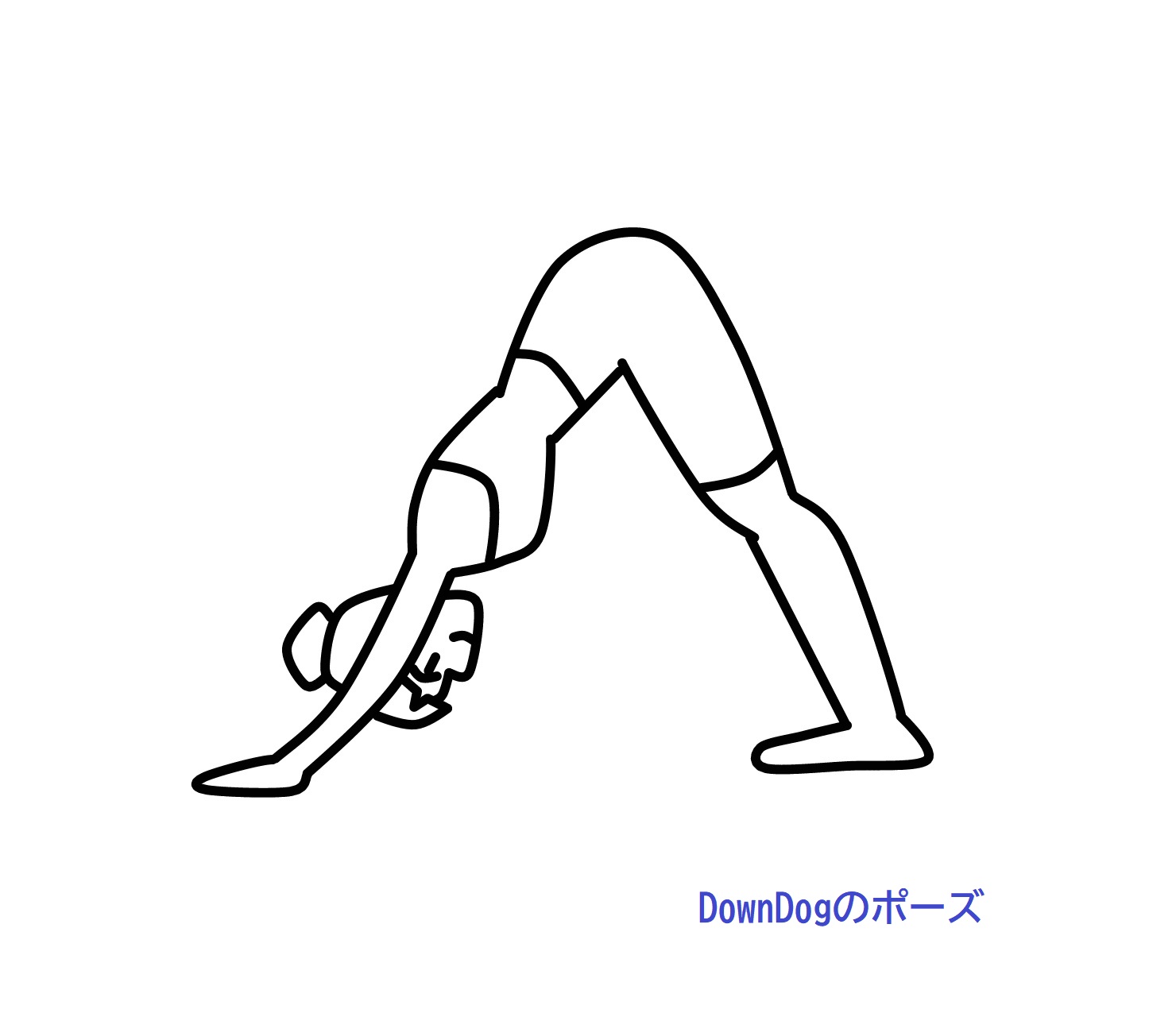 downdogのポーズ